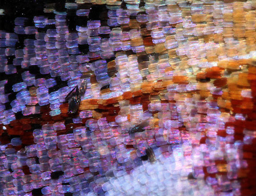 a877856e55167c5e847dac437129a93163145f2c