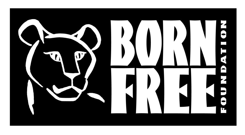 Born-Free-1